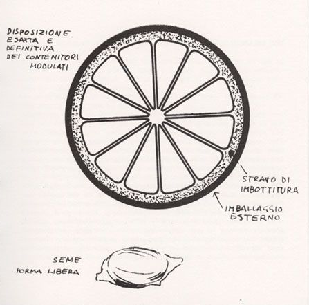 Packaging-arancia-2